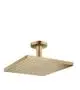Hansgrohe-HG-Kopfbrause-Raindance-E-300-1jet-Deckenmontage-BBR-26250140 gallery number 1